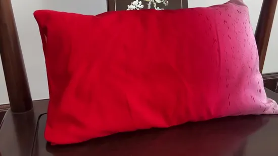 Cushion Hotel Household Items Lumbar Back Support Home Textile Product Travel Pillow 